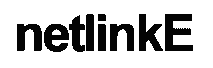 netlinkE Logo