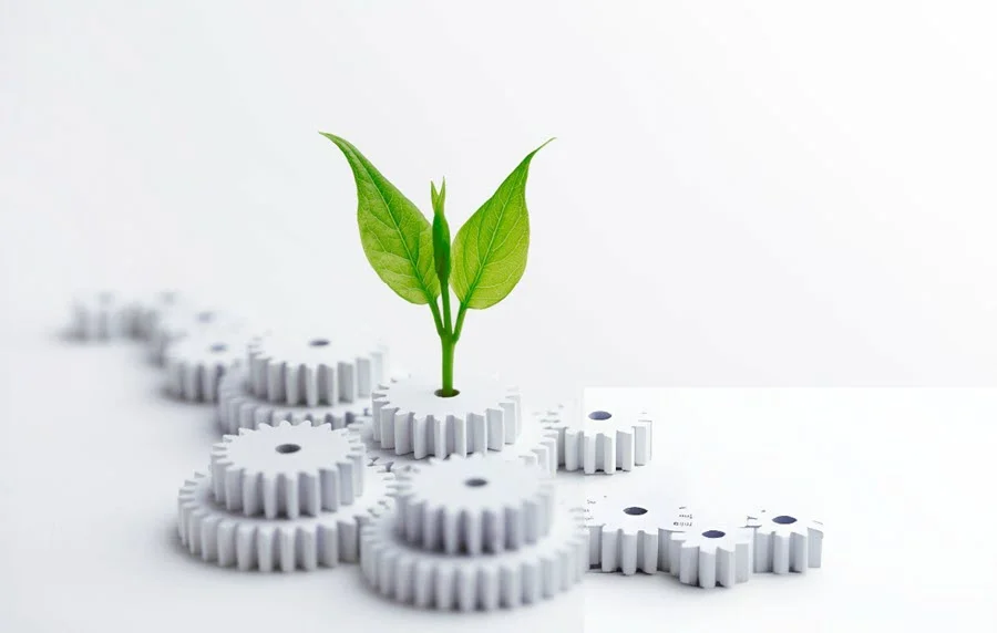 Marketing Automation Services